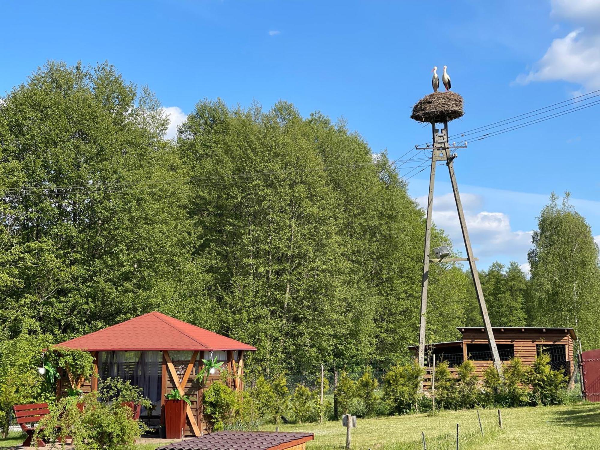 Agro Na Wapniarni Villa Biala  Eksteriør bilde
